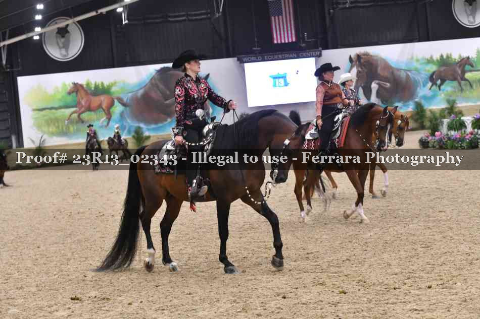 Proof Number 23R13_02343