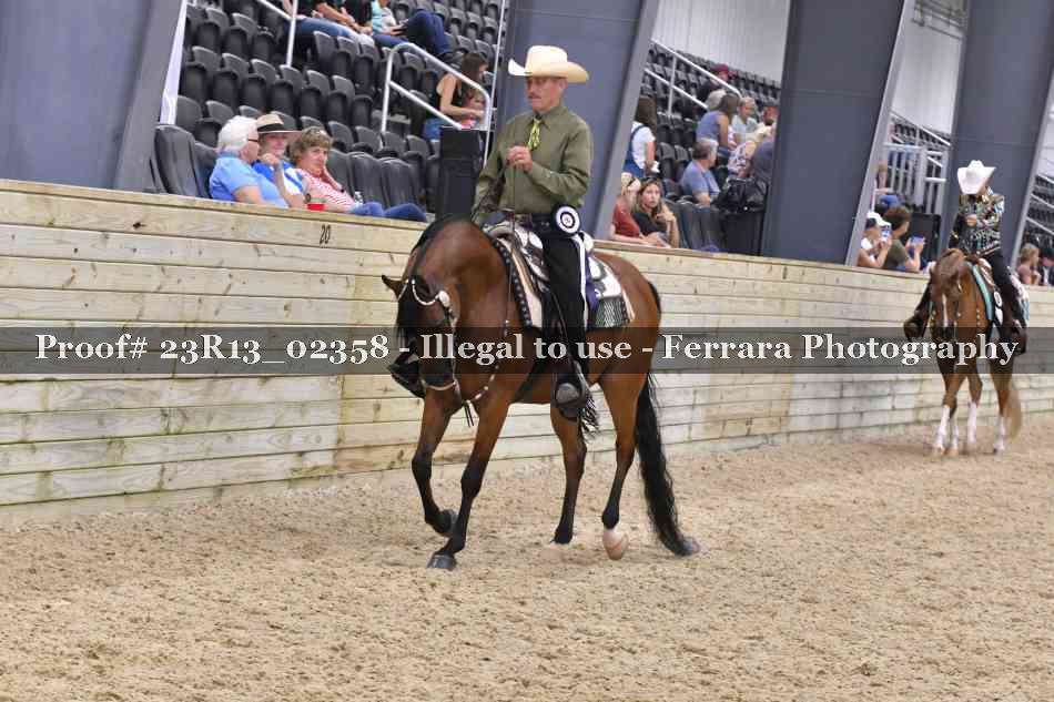 Proof Number 23R13_02358