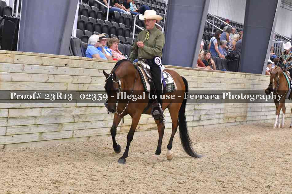 Proof Number 23R13_02359