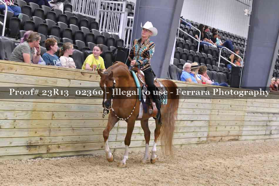 Proof Number 23R13_02360