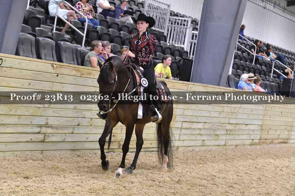 Proof Number 23R13_02362