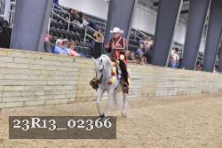 23R13_02366 thumbnail