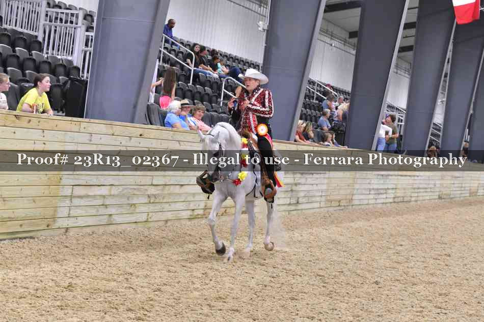 Proof Number 23R13_02367