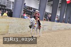 23R13_02367 thumbnail