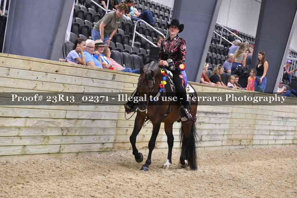 Proof Number 23R13_02371