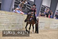 23R13_02371 thumbnail