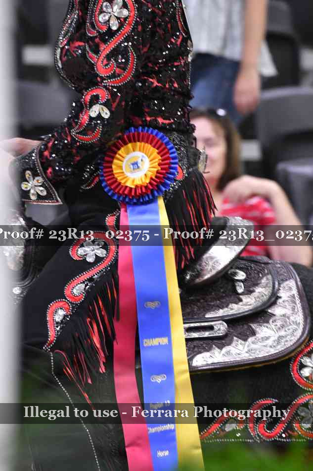 Proof Number 23R13_02375