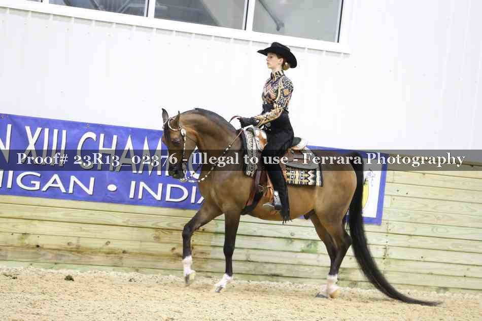 Proof Number 23R13_02376