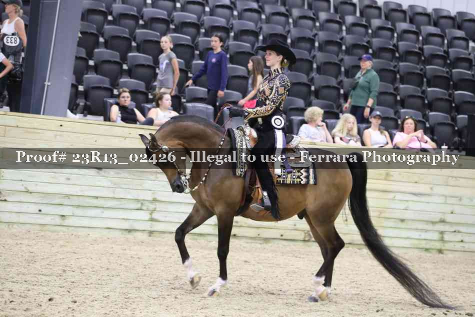 Proof Number 23R13_02426