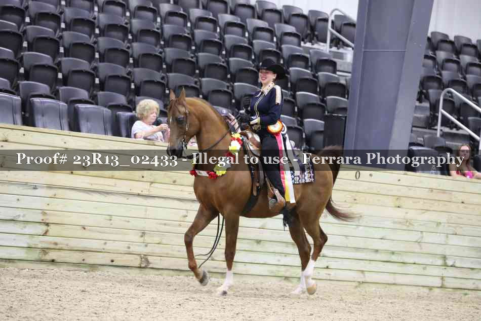 Proof Number 23R13_02433