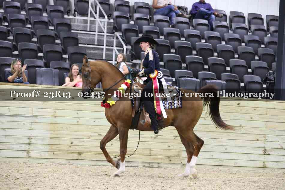Proof Number 23R13_02437