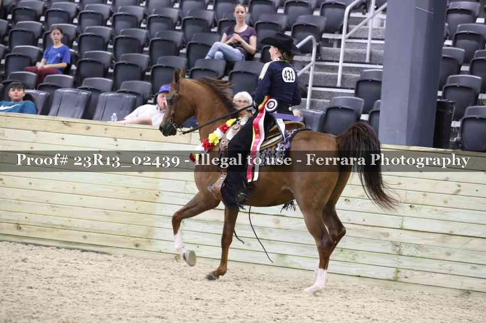 Proof Number 23R13_02439