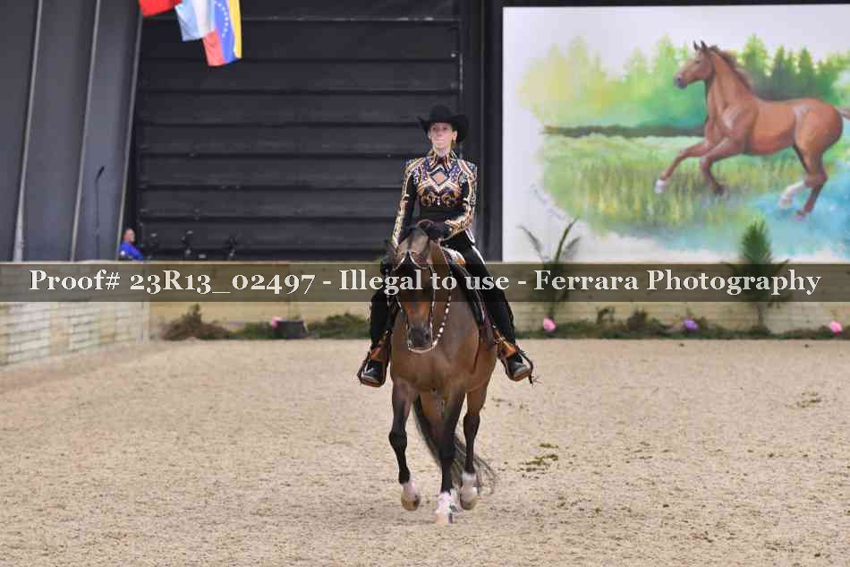 Proof Number 23R13_02497
