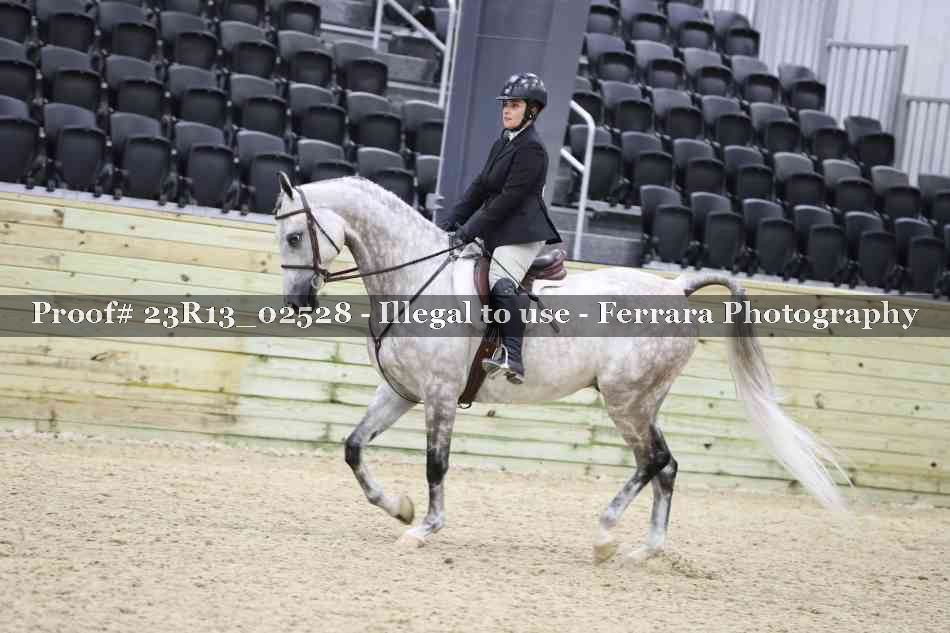 Proof Number 23R13_02528
