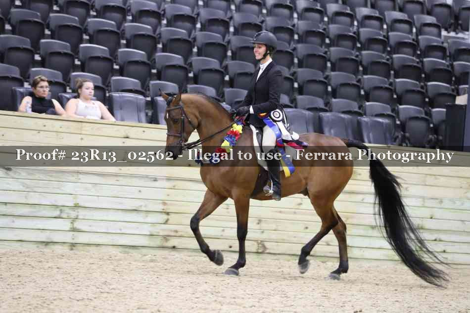 Proof Number 23R13_02562