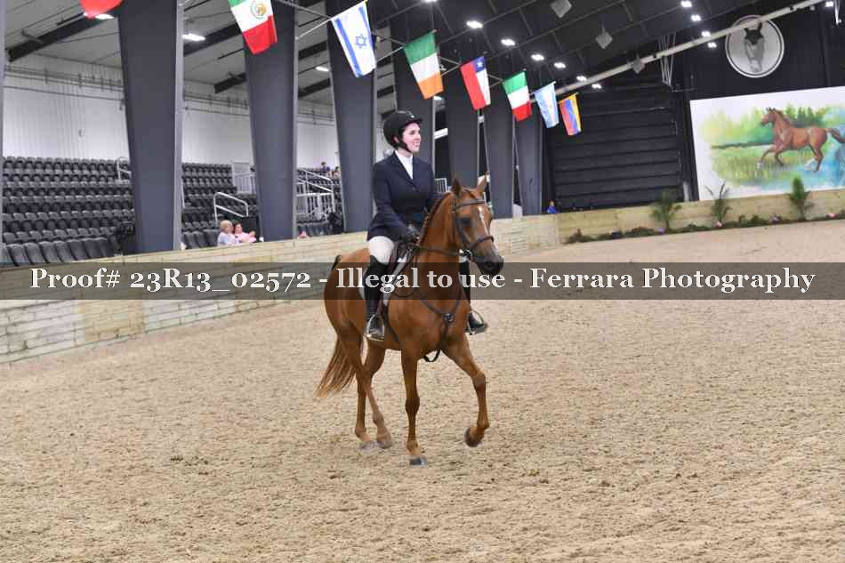 Proof Number 23R13_02572