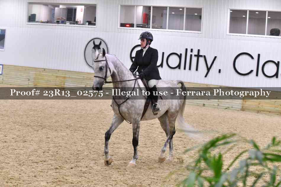 Proof Number 23R13_02575