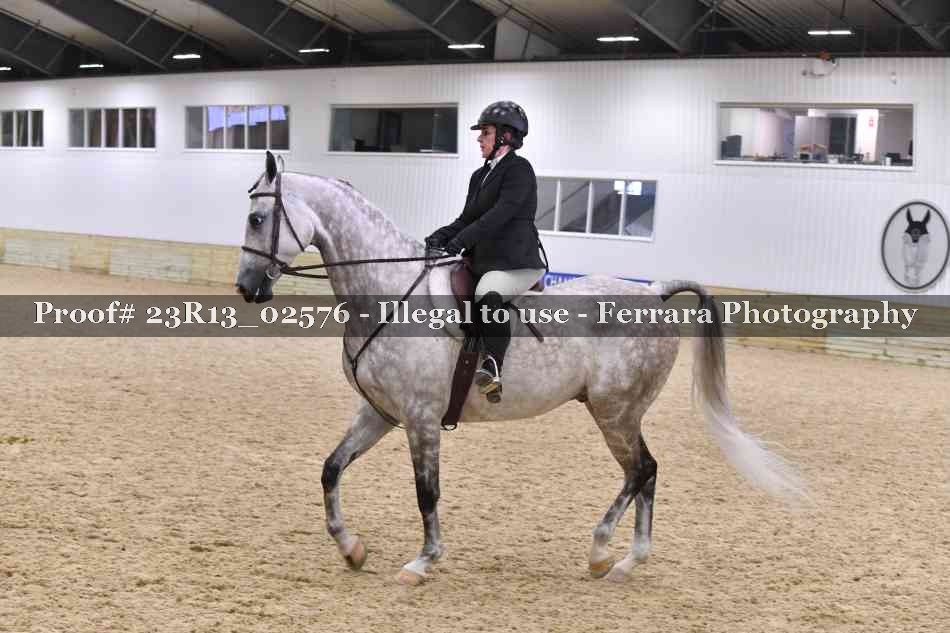 Proof Number 23R13_02576