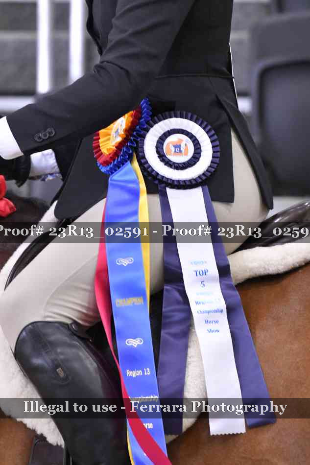 Proof Number 23R13_02591
