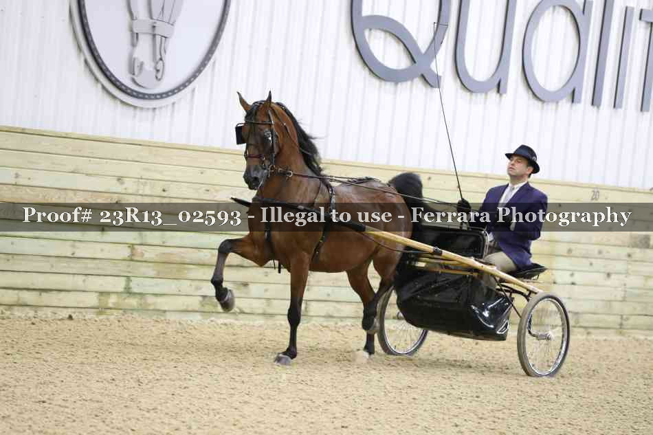 Proof Number 23R13_02593