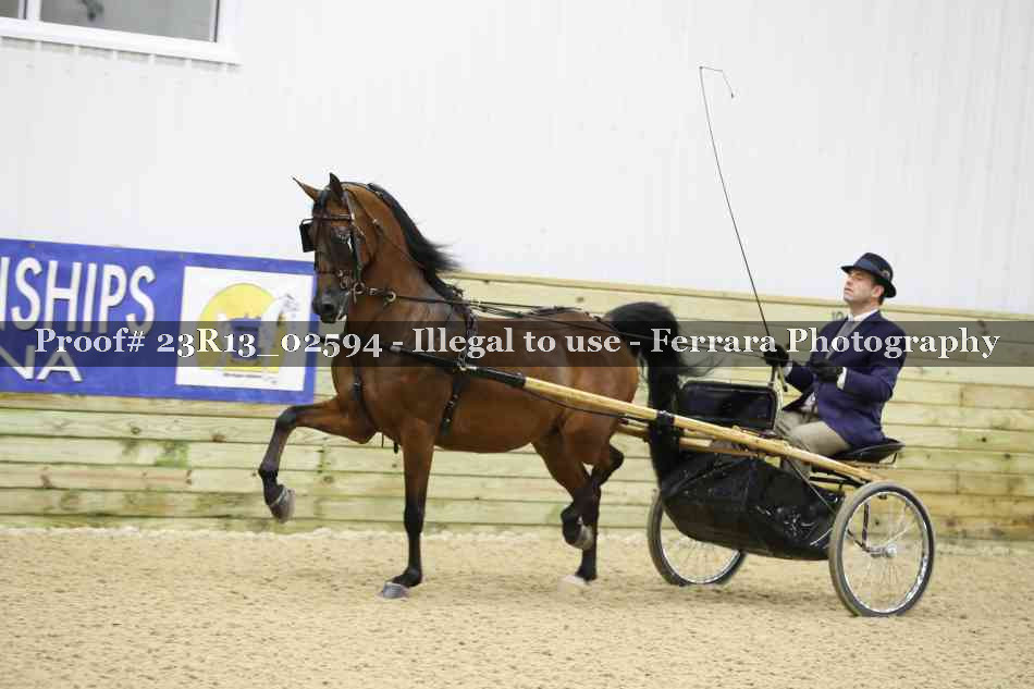 Proof Number 23R13_02594