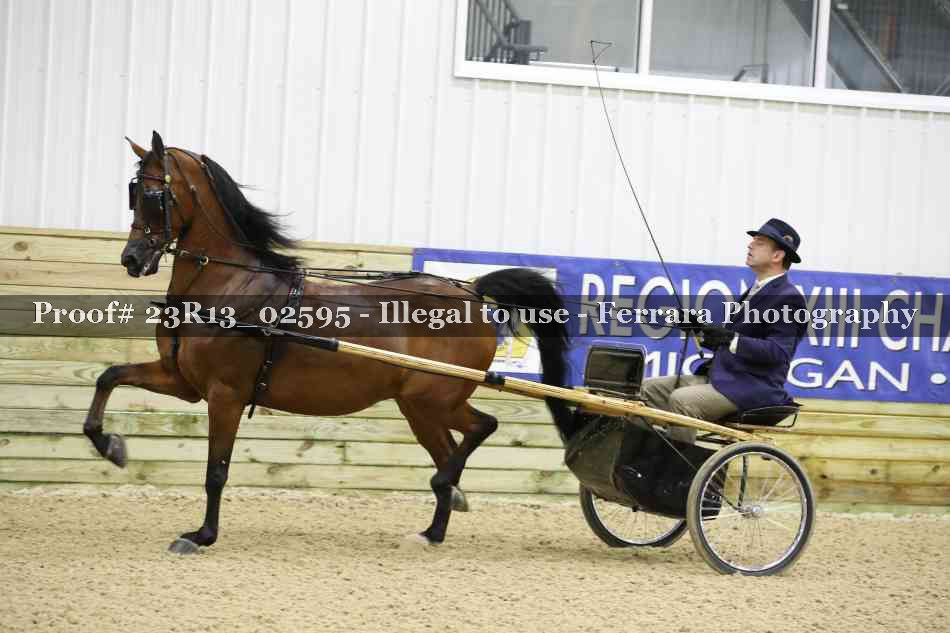 Proof Number 23R13_02595