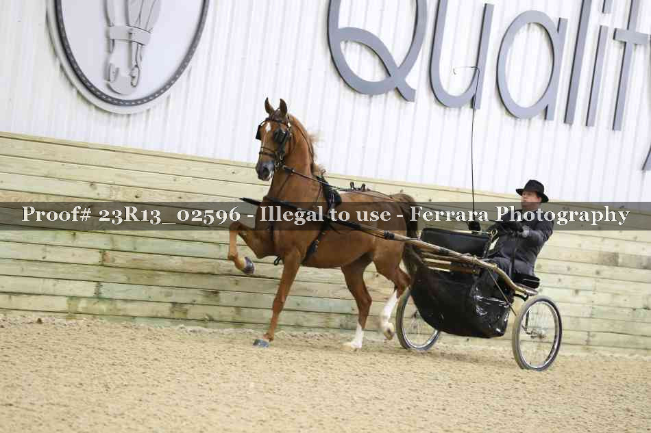 Proof Number 23R13_02596
