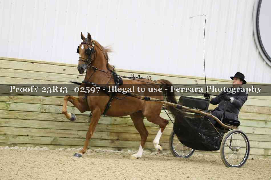 Proof Number 23R13_02597