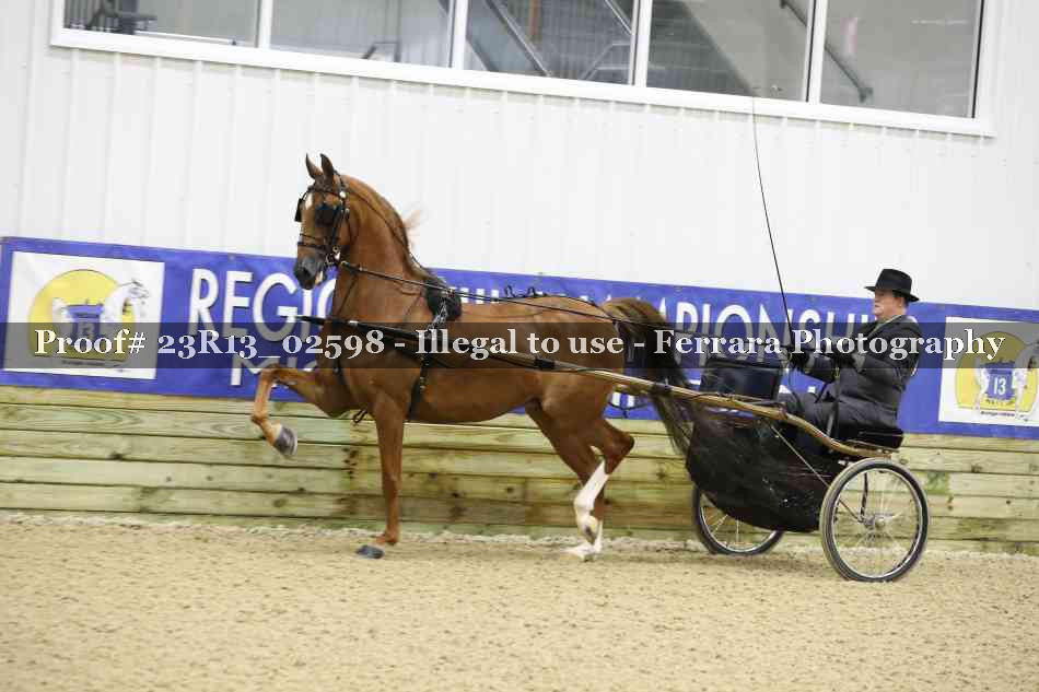 Proof Number 23R13_02598