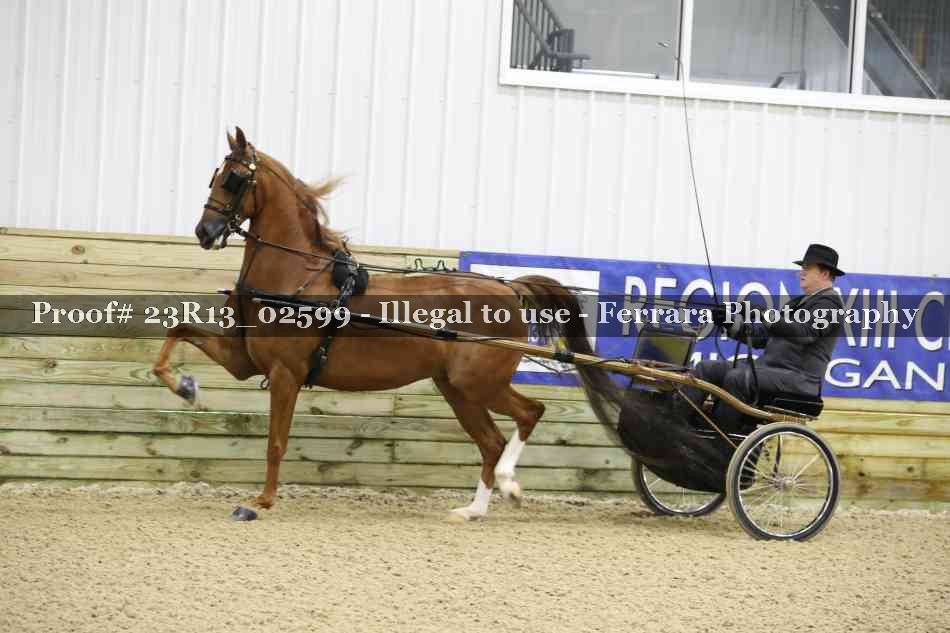 Proof Number 23R13_02599