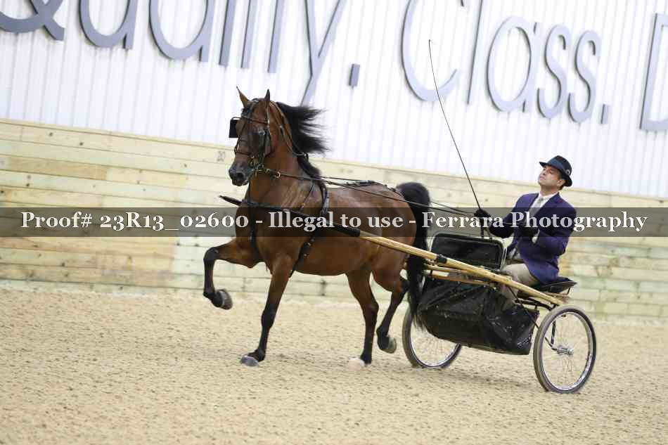 Proof Number 23R13_02600