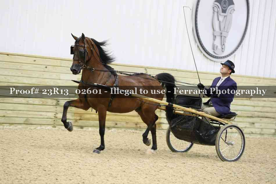 Proof Number 23R13_02601