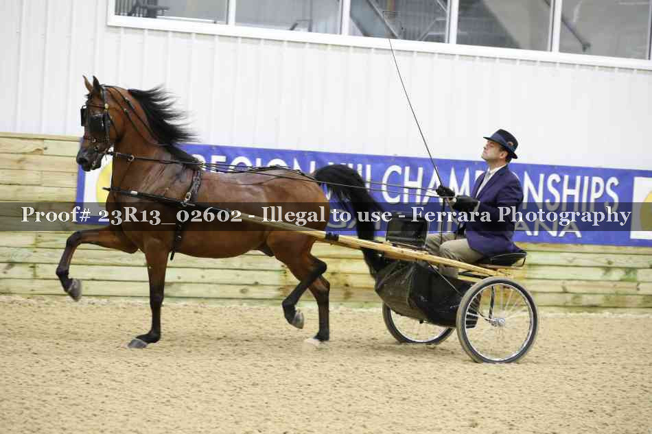 Proof Number 23R13_02602