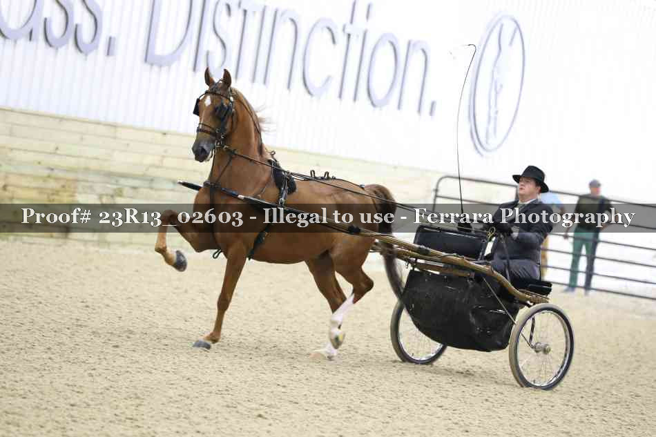 Proof Number 23R13_02603
