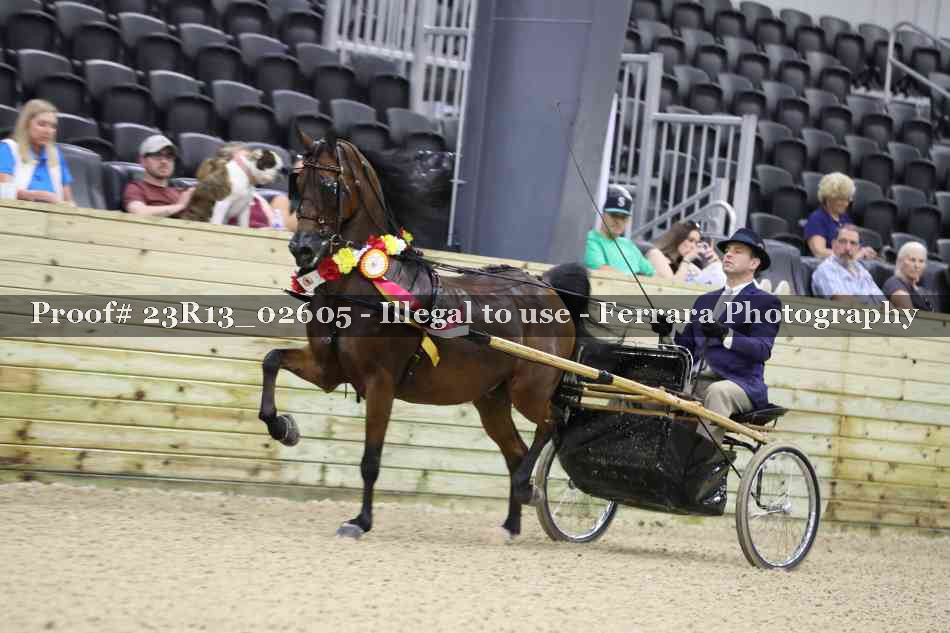 Proof Number 23R13_02605