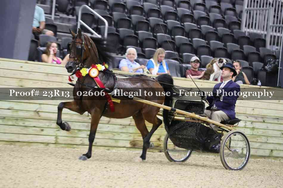 Proof Number 23R13_02606
