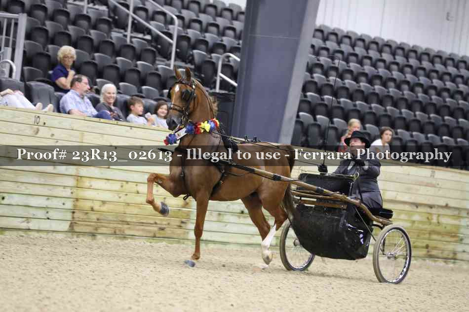 Proof Number 23R13_02613