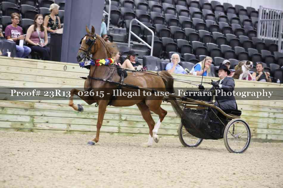 Proof Number 23R13_02615