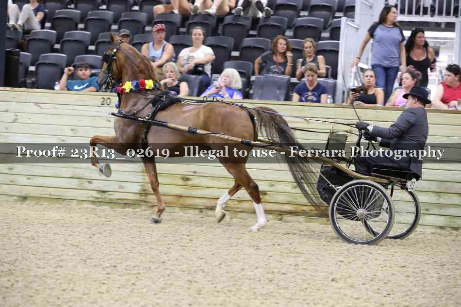 Proof Number 23R13_02619