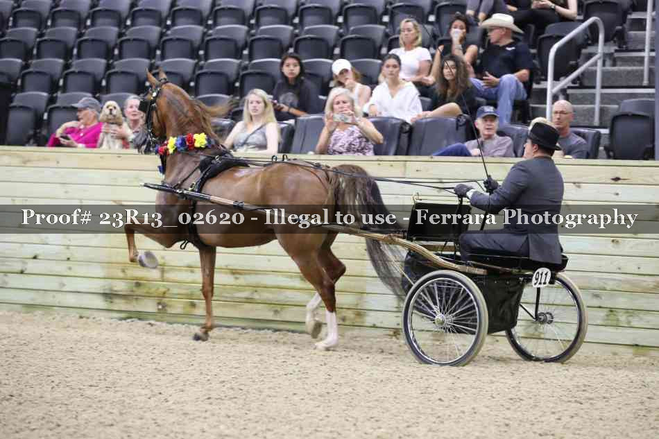 Proof Number 23R13_02620