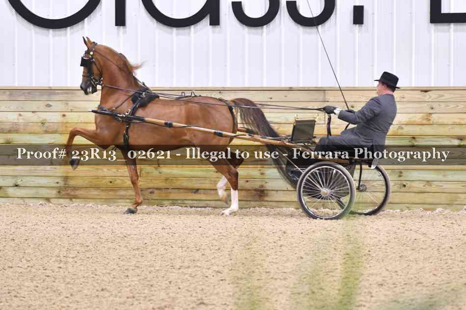 Proof Number 23R13_02621
