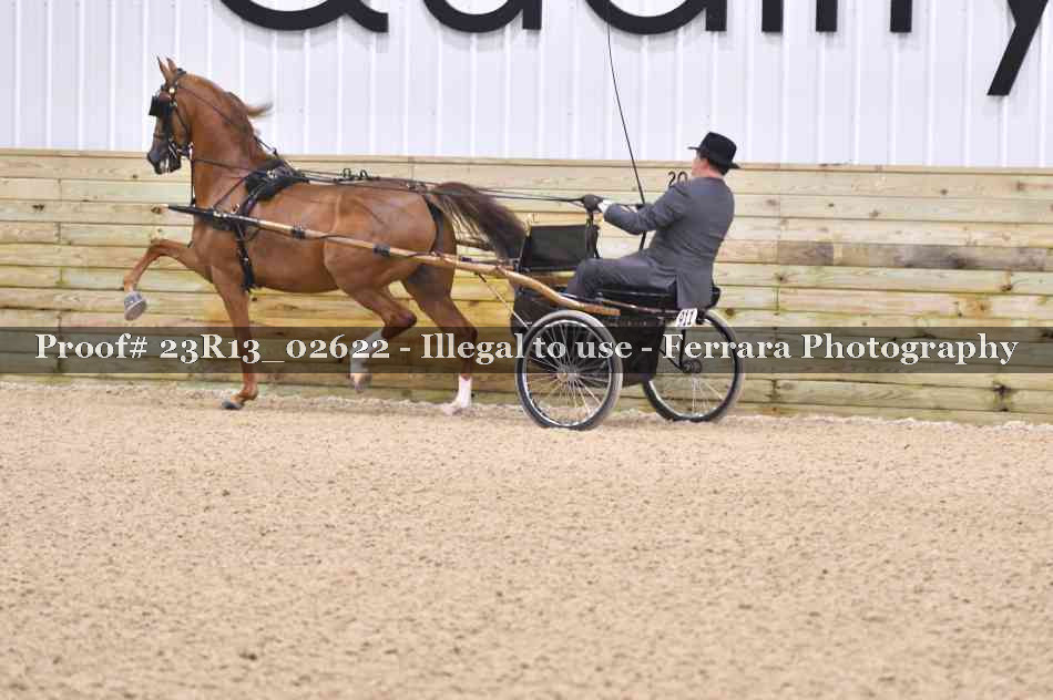 Proof Number 23R13_02622