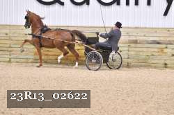 23R13_02622 thumbnail