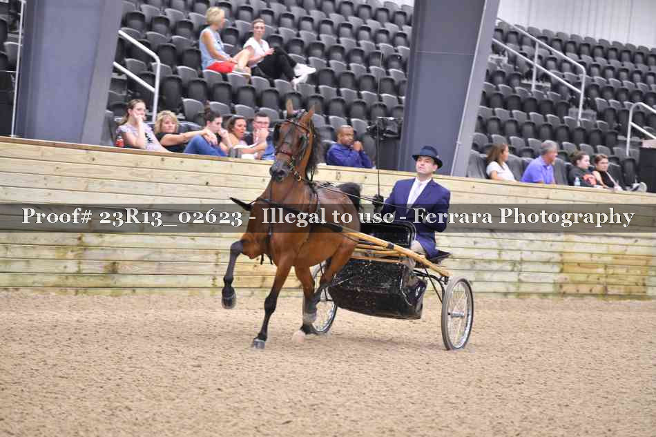 Proof Number 23R13_02623