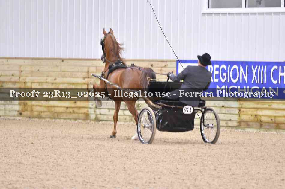 Proof Number 23R13_02625