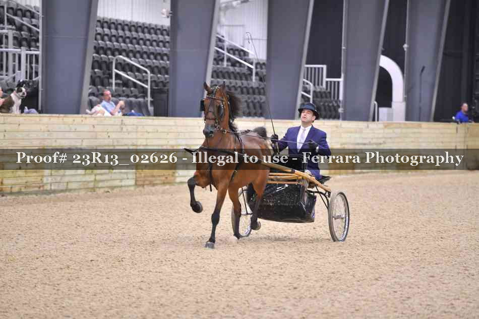 Proof Number 23R13_02626