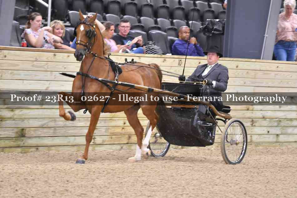 Proof Number 23R13_02627
