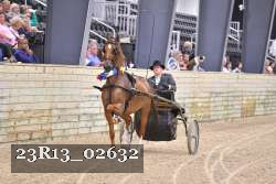 23R13_02632 thumbnail