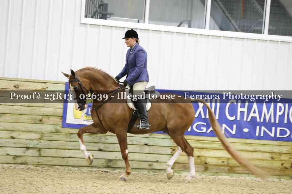 Proof Number 23R13_02639