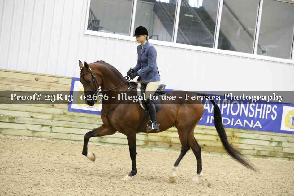 Proof Number 23R13_02676